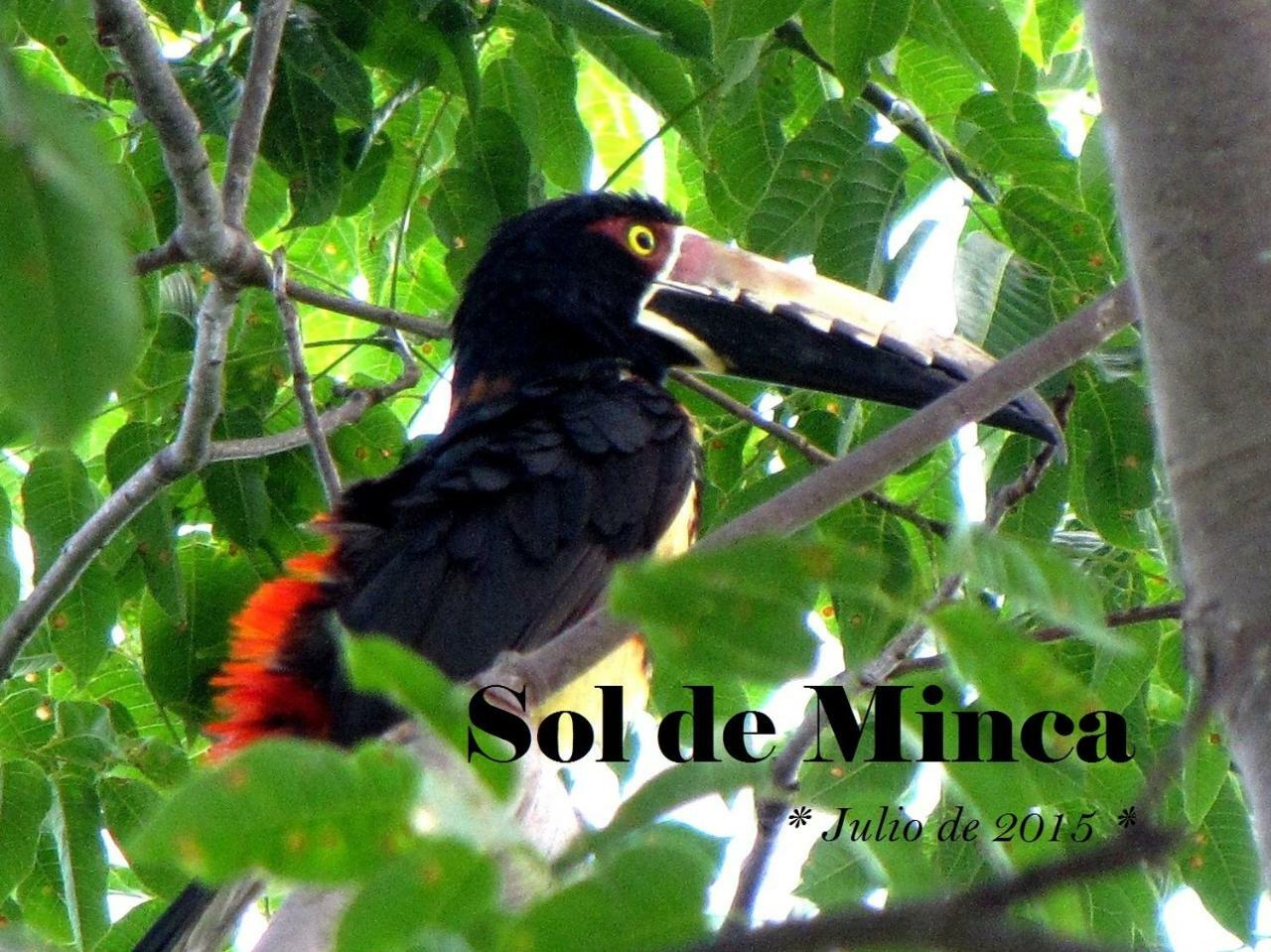 Sol De Minca Eco Lodge Esterno foto